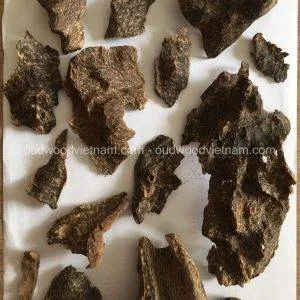 Nha Trang Wild Sink Oud Wood Agarwood Chip | Grade A++