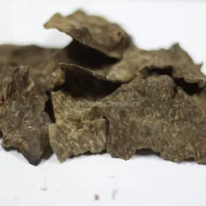會安沉香木片 |多伊德A | A++ 級 | 50克
