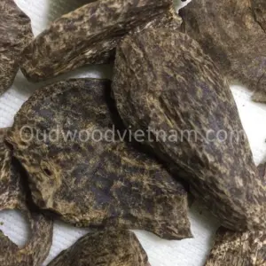 慶與沉香沉香木片|斬穆A | A++ 級 | 50克