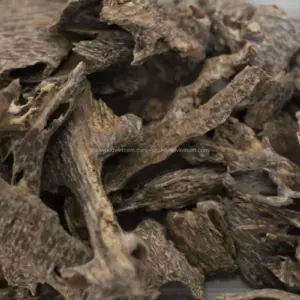 Nha Trang Oud Wood Agarwood Chips | Kien Rung | Grade A | 50克