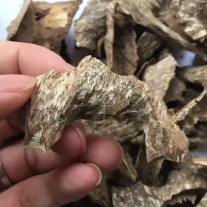 Phuc Trach 沉香木片 | A級| 1公斤